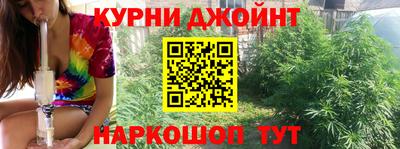 индика Гусь-Хрустальный