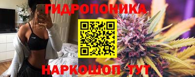 дурь Гусев