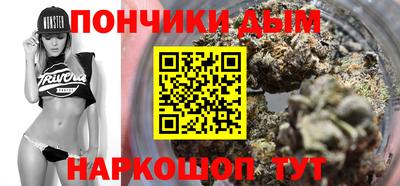 индика Гусь-Хрустальный