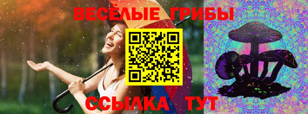 Новошахтинск  Галлюциногенные грибы Cubensis  Вход с VPN 