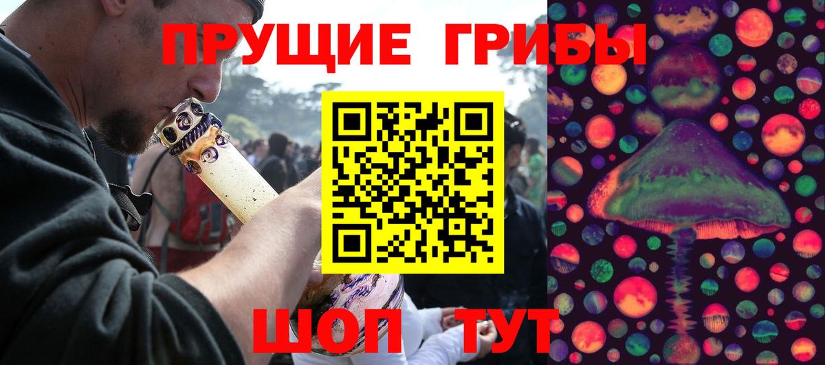 Псилоцибиновые грибы Psilocybe Новошахтинск
